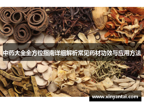 中药大全全方位指南详细解析常见药材功效与应用方法